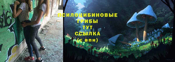 стаф Алексеевка