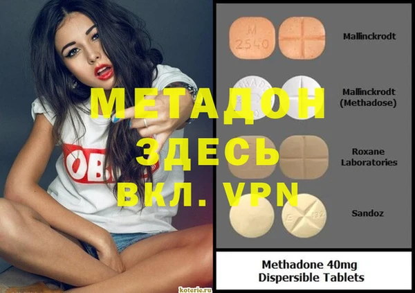 прущие грибы Абинск