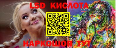 дмт Гатчина
