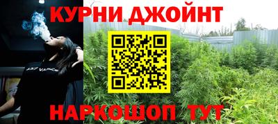 дмт Гатчина