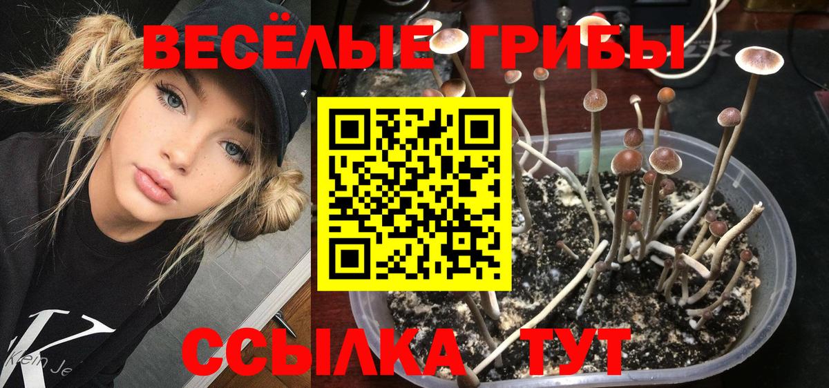 Галлюциногенные грибы Magic Shrooms  Вход с VPN  Псилоцибиновые грибы Magic Shrooms  Севастополь 